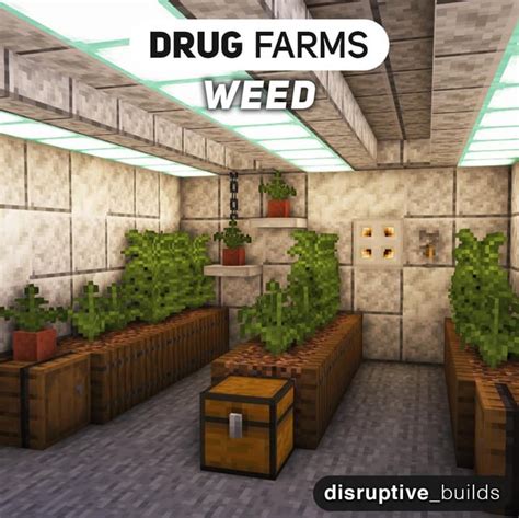 minecraft drug farm|minecraft drug shop.